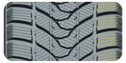 Delinte Winter WD1-3.jpg